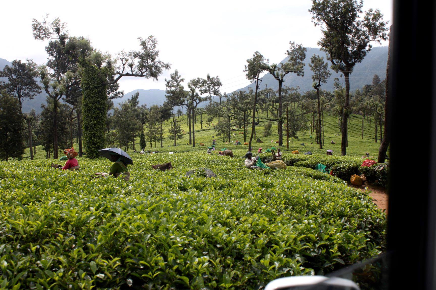 10 Days Kumaon Himalayas Cycling Tour
